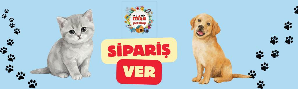 professional office lets and sales linkedin banner